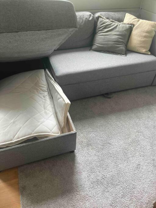 Cosy Apartment With Free Parking ベルゲン エクステリア 写真